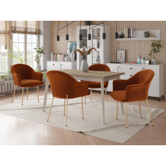 Čalouněné křeslo Sydonik