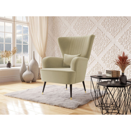 Křeslo do obývacího pokoje Pirko