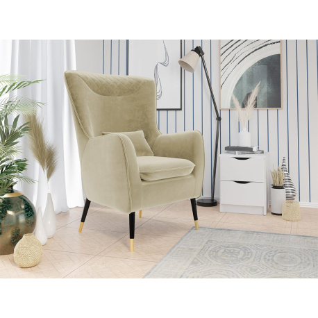 Čalouněné křeslo Arisean