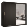 Šatní skříň se zrcadlem Towiro Slim 2 200