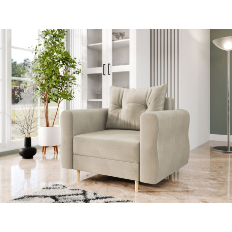 Čalouněné křeslo Saniolan F