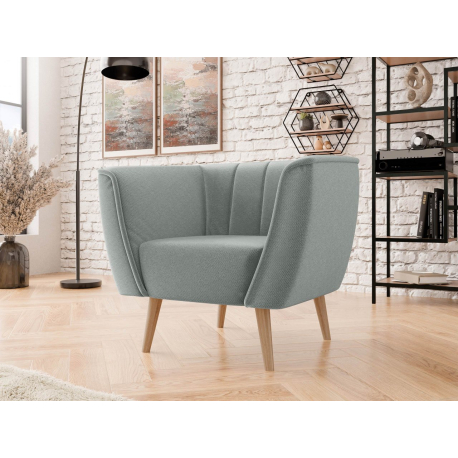 Čalouněné křeslo Faselo 1