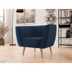 Čalouněné křeslo Faselo 1