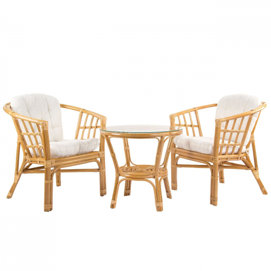 Pokojový bambus prodej