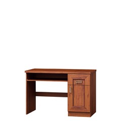 Psací stůl Noris N19