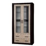 Vitrína Xavier XV-17
