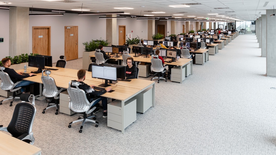 31 lat doświadczenia